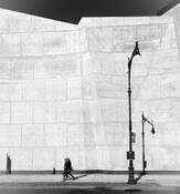 Canal Street by Patricia Sweeney