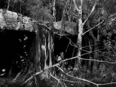 Detritus by Joanne Scherf