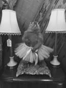 Pair of Pink Glass Lamps -60 by Jenny Verdonk