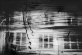 Homage to Dennis by Carole Usdan