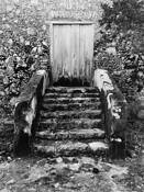 Abandoned Hacienda by Medina Isbell