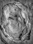 Cape Kiwanda 01 by Kathy Whitfield