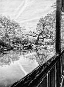 Koi Pong by Joel Rubin