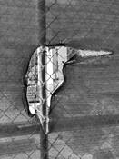 Birds Eye View by Gwen Solomon