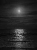 Contemplation #1 by David Bence