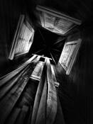 Fire Hoses by Denise Silva