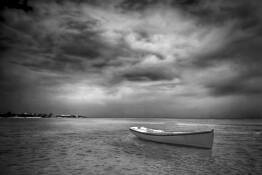 Holding Tight by Mary Ann Tardif