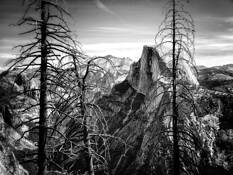 Half Dome From Four Mile Trail by Katherine Heistand