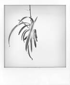 Breath by Roberto Frieri