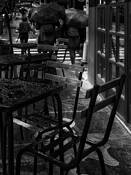 Greenwich Village by Roger Lieberman