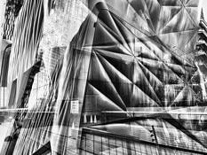 Shedding Some Light by Lilyan Aloma