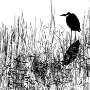 Bird in the March by Ira Dwoskin