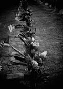 Veterans Day by Roger Mullenhour