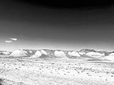 Roaming the Southwest by Susan Delgalvis