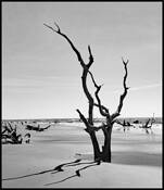 Lone Beach by David Cohen