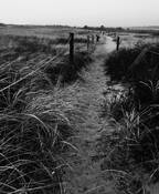 The Hidden Path by Kathy Conway