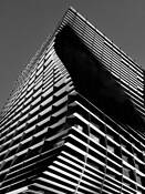 Defining Shadows XI by Maureen Haldeman