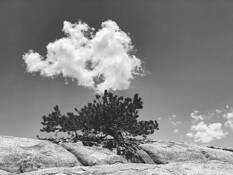 Mirroring by Heather McAlister