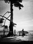 Cypress and Surfer by Heather McAlister