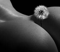 Untitled by JT Lee