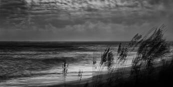 Windy Day by Gregory McIntosh
