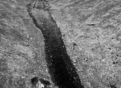 Flowing by Angel Morales