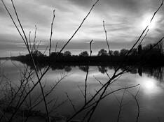 The River by Jenny DeVine