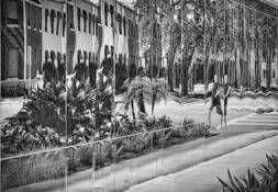 Framed by Debbie Scott-Queenin