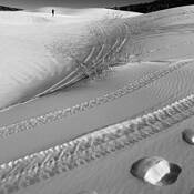 Tracks by David Storey