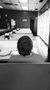 American Pastoral by Francine Douaihy