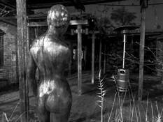 Bronze Nude by Robi Chakraborty