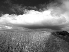 The Scene by Robi Chakraborty