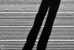 Shadow Grooves by Christopher Behrend