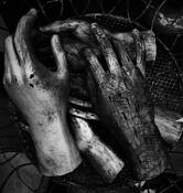 Wooden Hands by David Pantuso