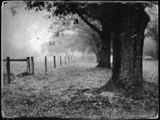 Evening Mist by Jeanette Serrat