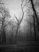 Reaching Through the Fog by Jeanette Serrat