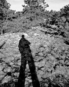 Shadow Stroll by Melissa Falen
