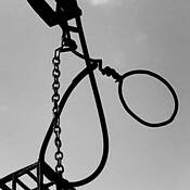 Swing Back by Mary Jane Tenerelli