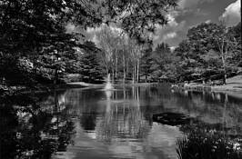 Nature's Way MD 2021 by Jerry Eisner