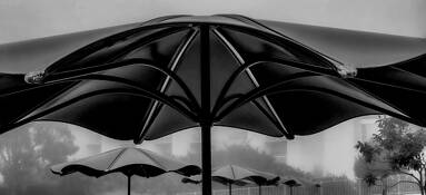 Wide Umbrella by Jerry Kay