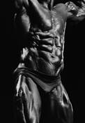 Professional Body Builder by William R. West