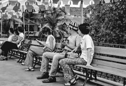 Filming Disney World by Matthew DeZee