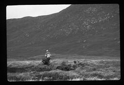Peat Man by Pamela Walter