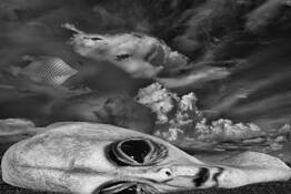 Alien Landscape by William R. West, Jr.