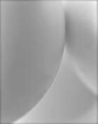 Egg Study 8 by Hal Brandes