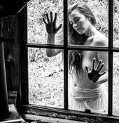 Looking In by Harold Tearse