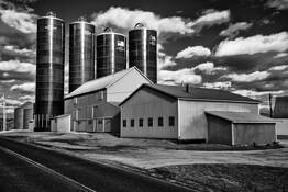 Infrared Farm by William R. West, Jr.