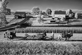 Infrared Hay Balers by William R. West, Jr.