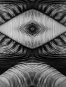 Elephant Ear Leaves Creature by William R. West, Jr.