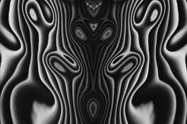 Morph Shape Shifter by William R. West, Jr.